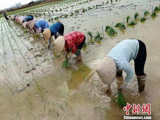 東昌區(qū)交通運(yùn)輸局最新招聘啟事
