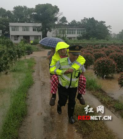長沙抗洪最新情況報告更新，實時掌握抗洪進展