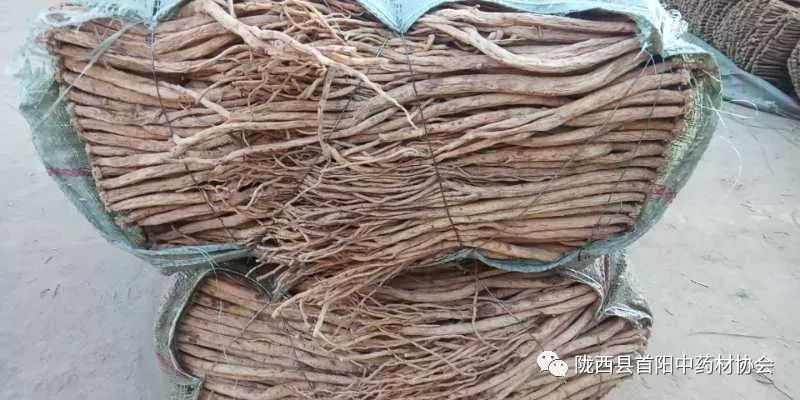 渭源黨參干貨最新價格動態(tài)分析與趨勢預(yù)測